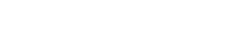 HAVIK Logo